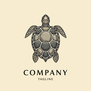 Sea turtle illustration in a vintage woodcut style, featuring a detailed shell and flippers, positioned centrally on a light beige background with placeholder text for a company logo and tagline.