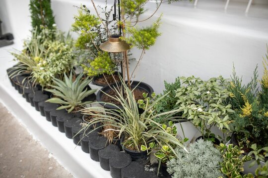 Curated flower bed with ornamental lamp and mixed plants, landscaping and garden decor concept