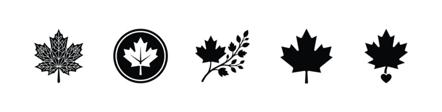 Canadian Thanksgiving Maple Leaf Icon Collection, Canada National Symbol, Autumn Foliage and Nature Leaf Silhouette, Black and White Vector Illustration for Canadian Festival