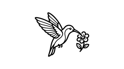 Obraz premium A black and white line art drawing of a hummingbird in flight, holding a delicate flower in its beak, against a plain white background.