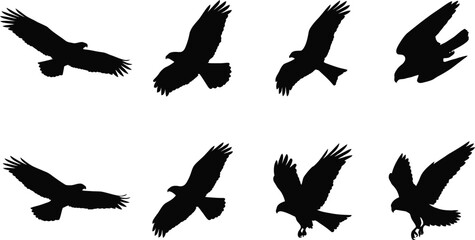 Naklejka premium Bird Silhouettes in Flight Depicting Raptors and Large Birds of Prey for Wildlife Illustration and Nature Design Projects