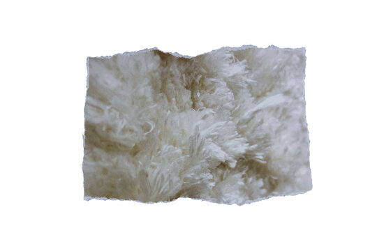 piece of blank fur paper texture background torn and ripped on transparent background. document frame design