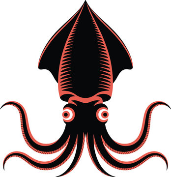 A vampire squid animal vector on white background.