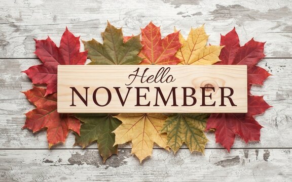 Hello november sign with colorful autumn maple leaves