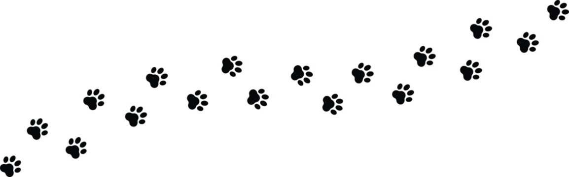 Black Paw Prints Trail on White Background, Pet Footprints Pattern
