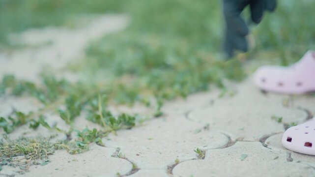 A nostalgic horizontal video shot, showing a woman with protective gloves pulling thick green weeds and unwanted grass growing over a paved walkway on a sunny evening.