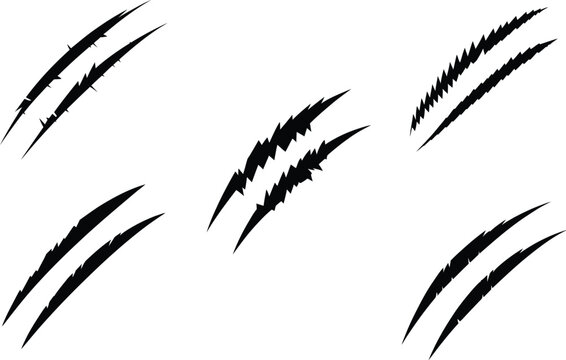 Animal claw scratch vector set, feline paw marks and tiger scratch symbols for jungle themes, wildlife graphics, gaming artwork and decorative designs.