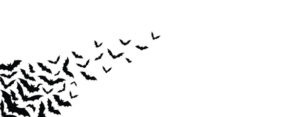 Fototapeta premium A flock of black bats flying in a swarm on a horizontal graphic design