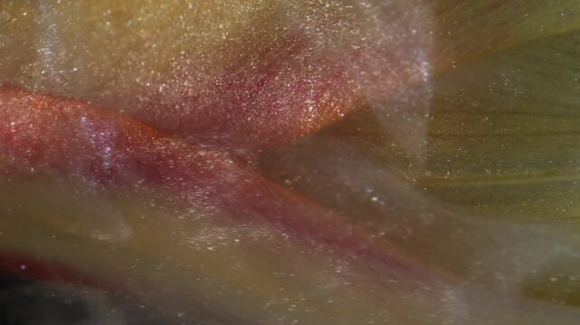 Vertical video. Flower ink. Vapor texture. Blur sparkling white color smoke water yellow red nature tulip on abstract background.