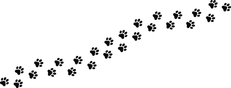 Black paw prints trail vector, animal footprint track, dog or cat pawprints path