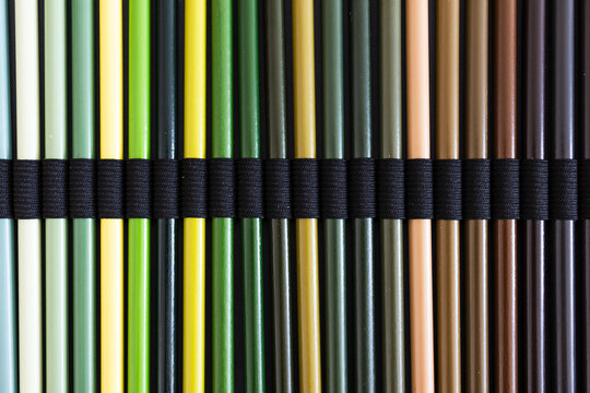 close-up of green and brown colored pencils neatly lined up in pencil case, concept of creativity, drawing, education and art supplies
