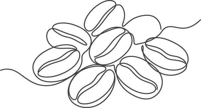 Continuous line art of coffee beans, minimalist coffee bean vector illustration, 