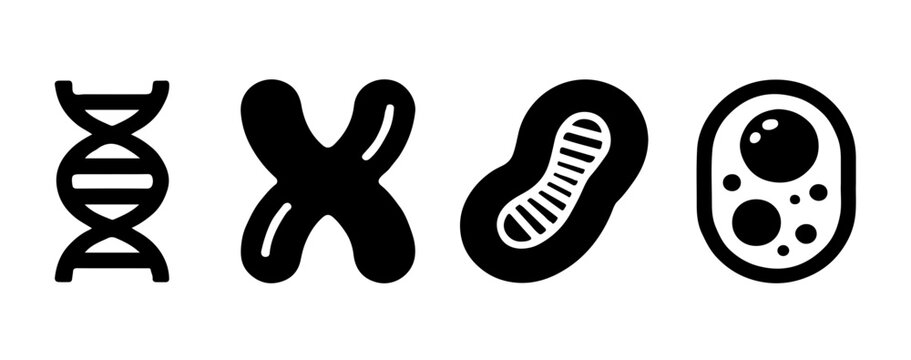 Molecular biology icons set including dna structure chromosome cell and mitochondria for scientific research design.