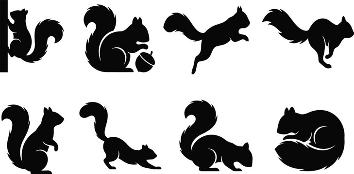 Playful collection of eight squirrel silhouette vector icons showing natural poses, acorn holding, climbing, leaping, and resting