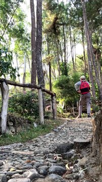 Slow motion vertical video from a low angle of a male hiker with a red backpack drinking water. He is resting on a cobblestone path in a lush green forest. Active outdoor adventure concept.