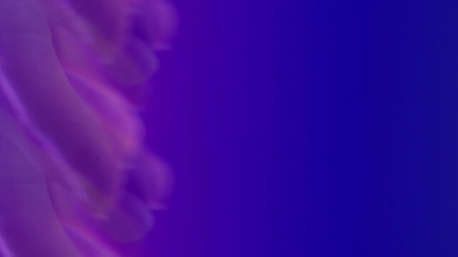 Hand exercises. Blur neon kaleidoscope. Blue violet abstract background lens flare. Color echo female fingers optical effect flex art prism.