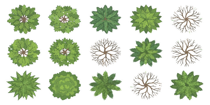 Set of green trees viewed from above for architectural landscape design plans and exterior park site layouts