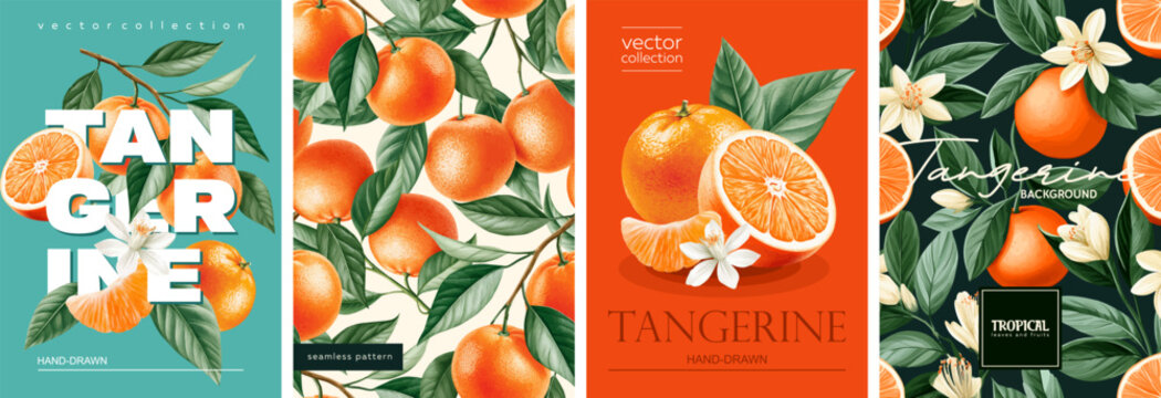 Hand drawn set of designs and patterns. Vectorized gouache illustrations. Illustrations of tangerines with flowers and leaves for poster, prints, menu, card or textile