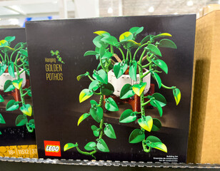 Fototapeta premium LEGO Botanicals Golden Pothos Plant Building Set Box