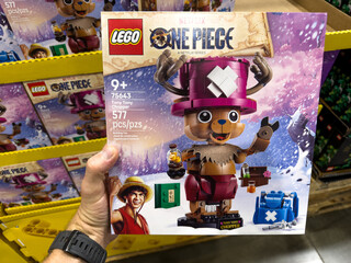 Fototapeta premium LEGO One Piece Tony Tony Chopper Building Set