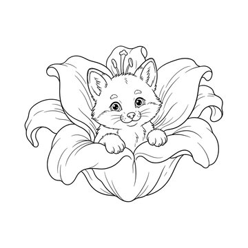Cute fox cub sitting inside a large flower, black and white line art illustration.