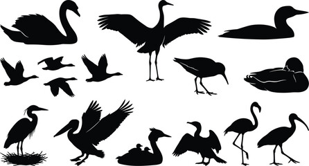 Naklejka premium Set of black silhouettes of water birds and waterfowl in various poses for design