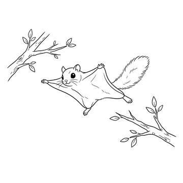 Flying squirrel gliding through air with outstretched limbs and bushy tail in mid-flight