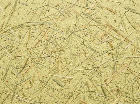 Close-up view of a textured surface with scattered straw-like fibers embedded in a light yellow background.