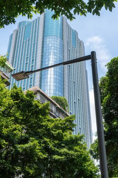 Tall glass skyscraper behind lush green trees