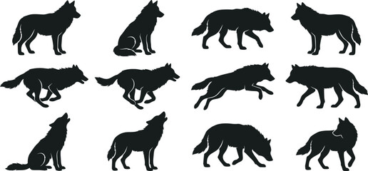 Obraz premium Wolf Silhouette Vector Collection with Standing Running and Howling Poses