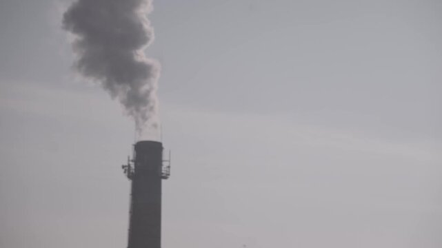 Timelapse of Thick Industrial Smoke Rising from Factory Chimney Under Overcast Sky