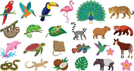 Naklejka premium Tropical Wildlife Illustration Set with Colorful Parrot, Toucan, Peacock, Flamingo, Leopard, Sloth, Chameleon, Turtle, Hummingbird, and Exotic Animals