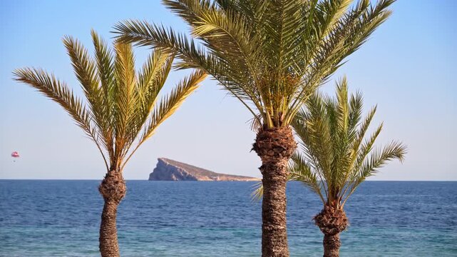 Scenic view of tropical palm trees at mediterranean seaside resort with parasailing activity in background on sunny summer day.