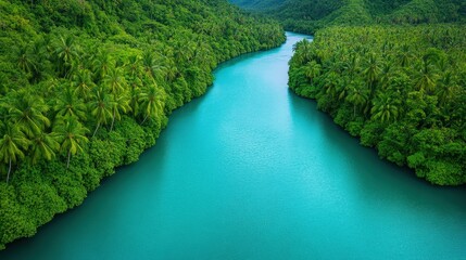 Fototapeta premium A turquoise river winds through lush, dense tropical jungle, surrounded by vibrant green trees and rich, natural vegetation.
