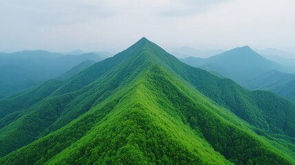 Fototapeta premium Verdant mountain peaks stretch into the distance under a hazy sky, covered in lush green forest.