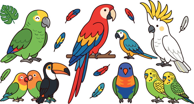 Cute Tropical Parrot and Exotic Bird Vector Icon Set Featuring Macaw Cockatoo Toucan Lovebirds Lorikeet Budgerigars and Feathers Isolated on White Background Graphic Elements