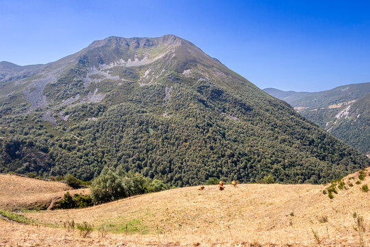 Landscape of the port of Leitariegos in Asturias, Spain, during the month of August 2026