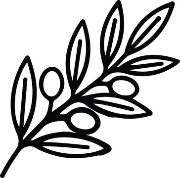 Olive Branch Botanical Line Art Vector Illustration
