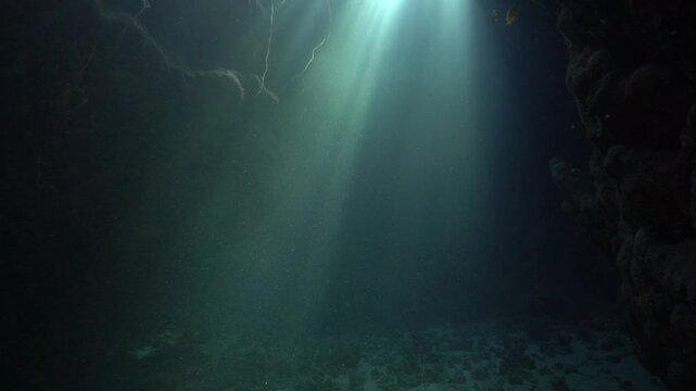Cathedrals of light. Underwater videoclip from cave scuba dive in rays of sunlight. Unspecified.