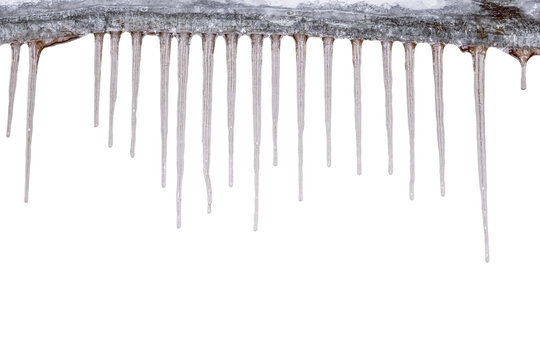 Transparent melting icicles hanging from the edge