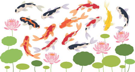 Fototapeta premium Japanese Koi Fish Vector Illustration Set with Pink Lotus Flowers and Green Lily Pads for Traditional Oriental Pond Graphic Designs