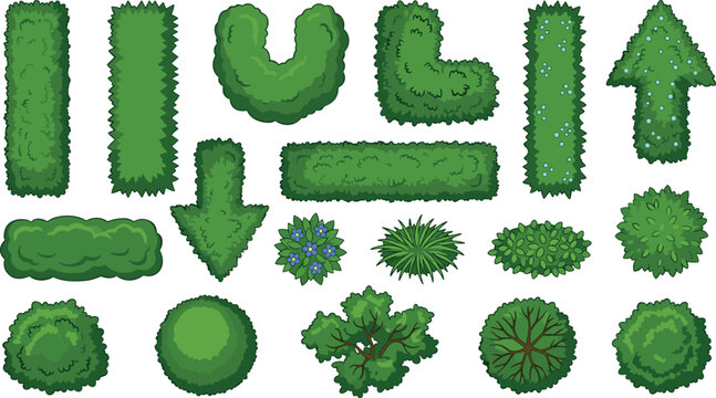 Green hedge bushes and trees vector set with top view shrubs maze elements garden landscape plan and map icons