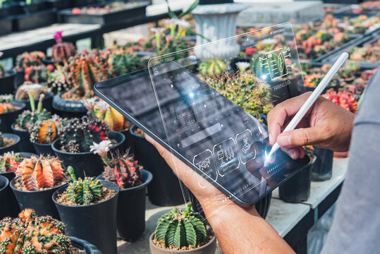 Agronomist analyzing plant growth with holographic digital interface on tablet in succulent farm, composite image, not AI.