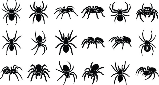 Black Spider Silhouette Vector Icon Set Featuring Tarantula Black Widow and Arachnid Symbols for Halloween Graphic Designs
