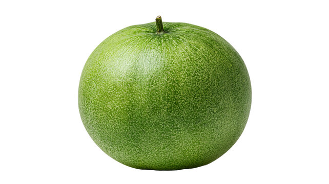 Fresh whole ash gourd with highly detailed realistic pale green waxy skin texture, centered isolated PNG on transparent background
