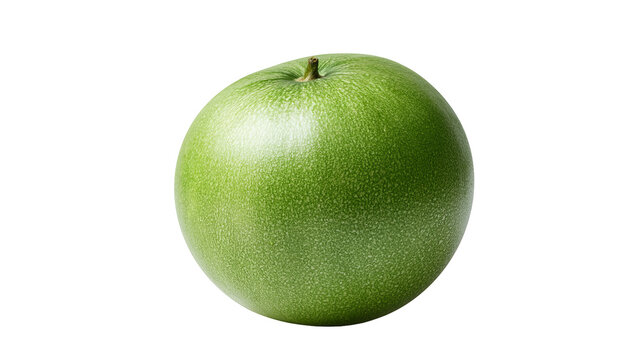 Fresh whole ash gourd with highly detailed realistic pale green waxy skin texture, centered isolated PNG on transparent background