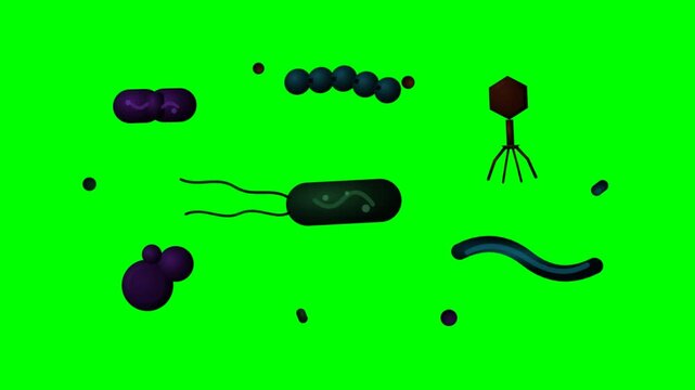Diverse Microscopic Organisms and Viruses on a Vibrant Green Background.