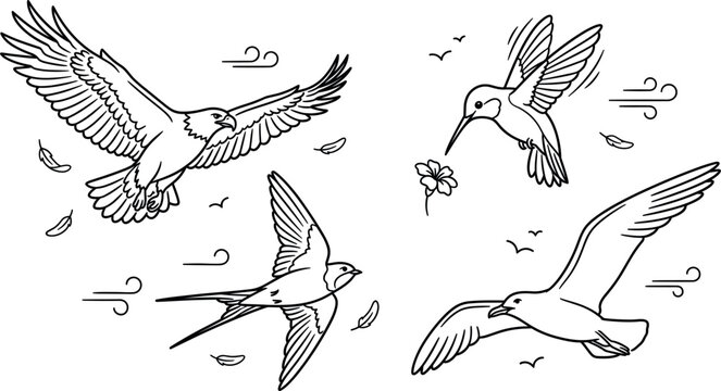 Flying birds line icon set featuring soaring eagle humming bird swallow and seagull with wind breeze and falling feather design elements. (21 words)