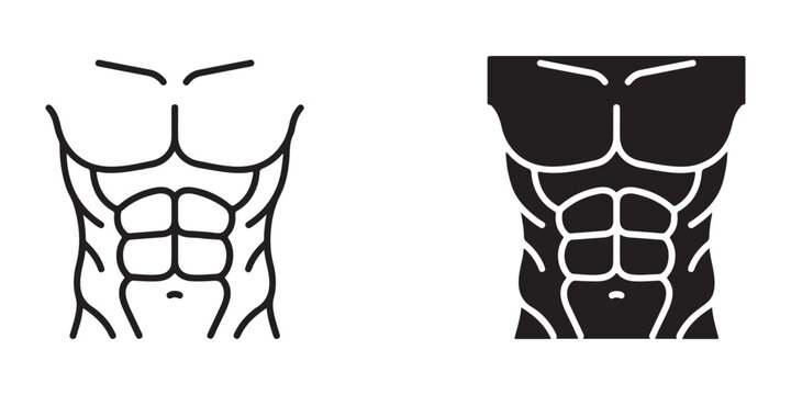 comparison of human torso muscles with different shading styles for fitness and anatomy reference