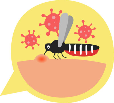 mosquitoes control. dengue fever and zika infection concept